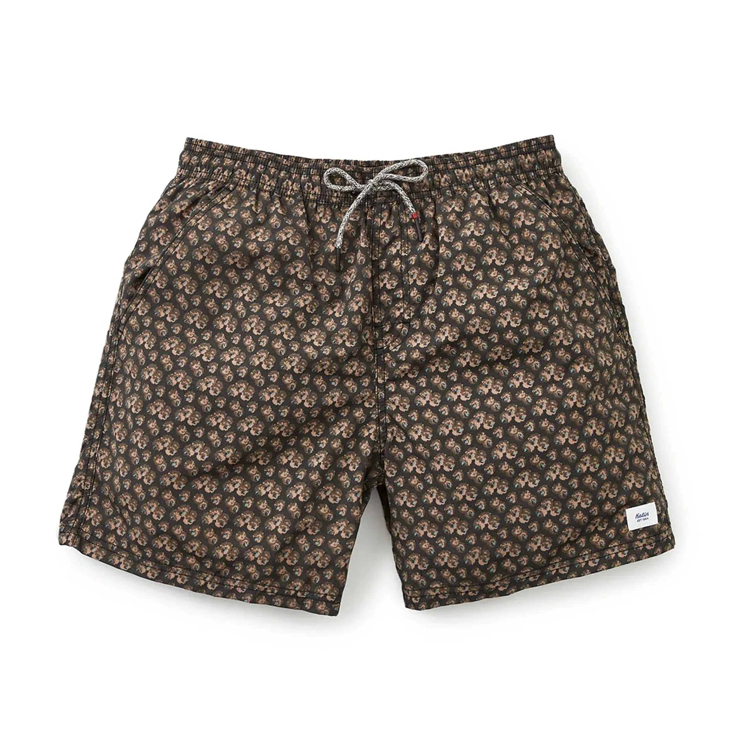 Aster Volley Trunk