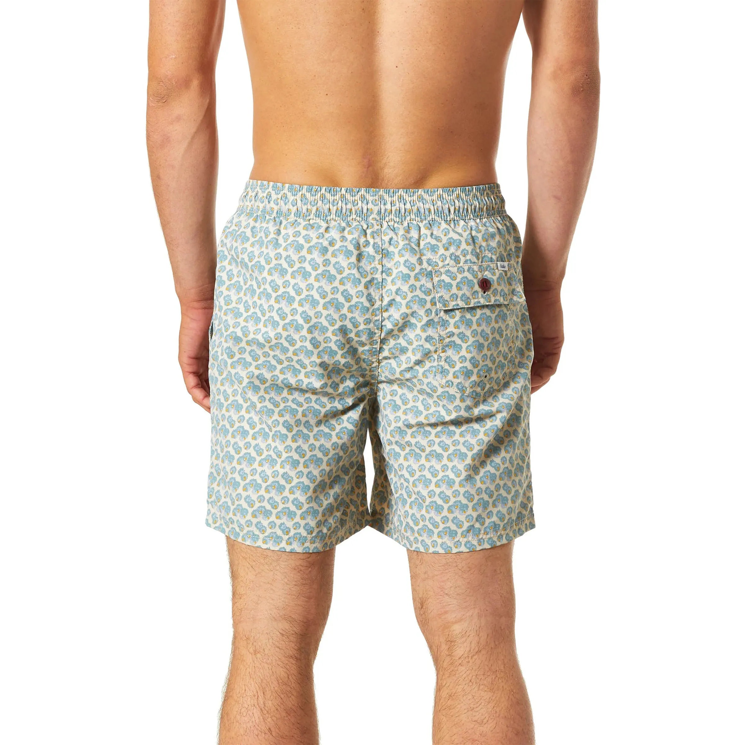 Aster Volley Trunk