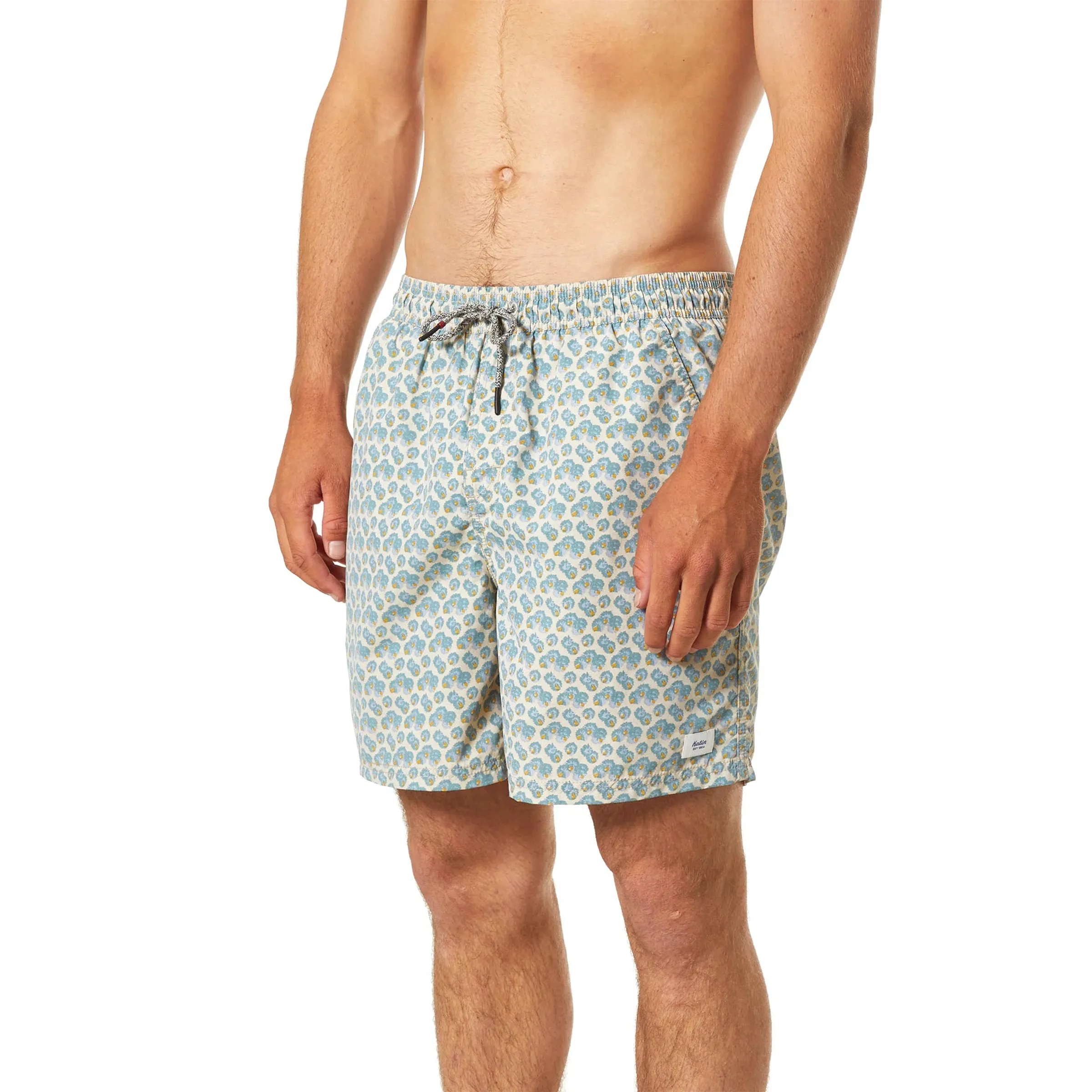 Aster Volley Trunk