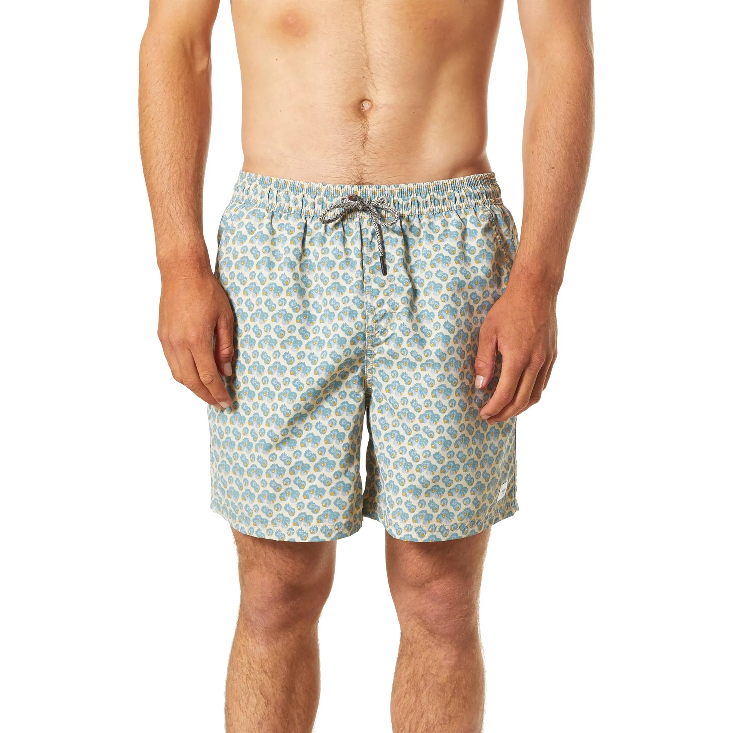 Aster Volley Trunk