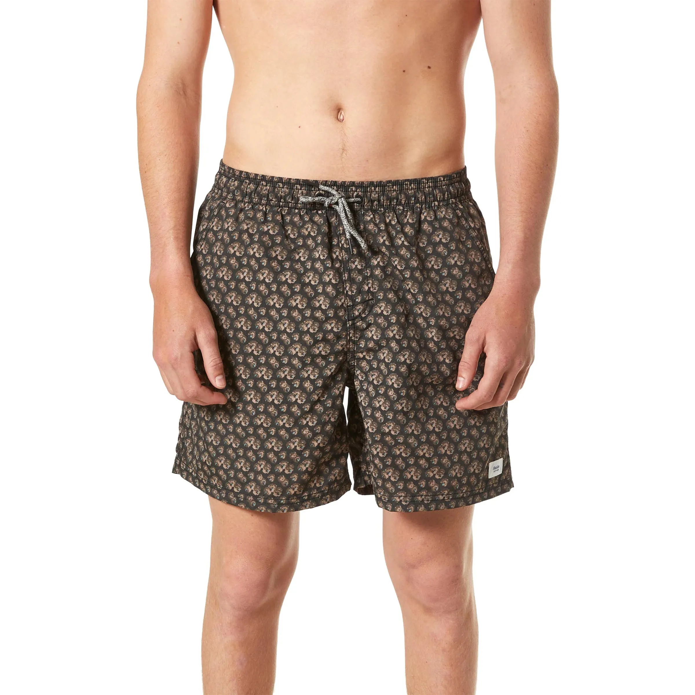 Aster Volley Trunk
