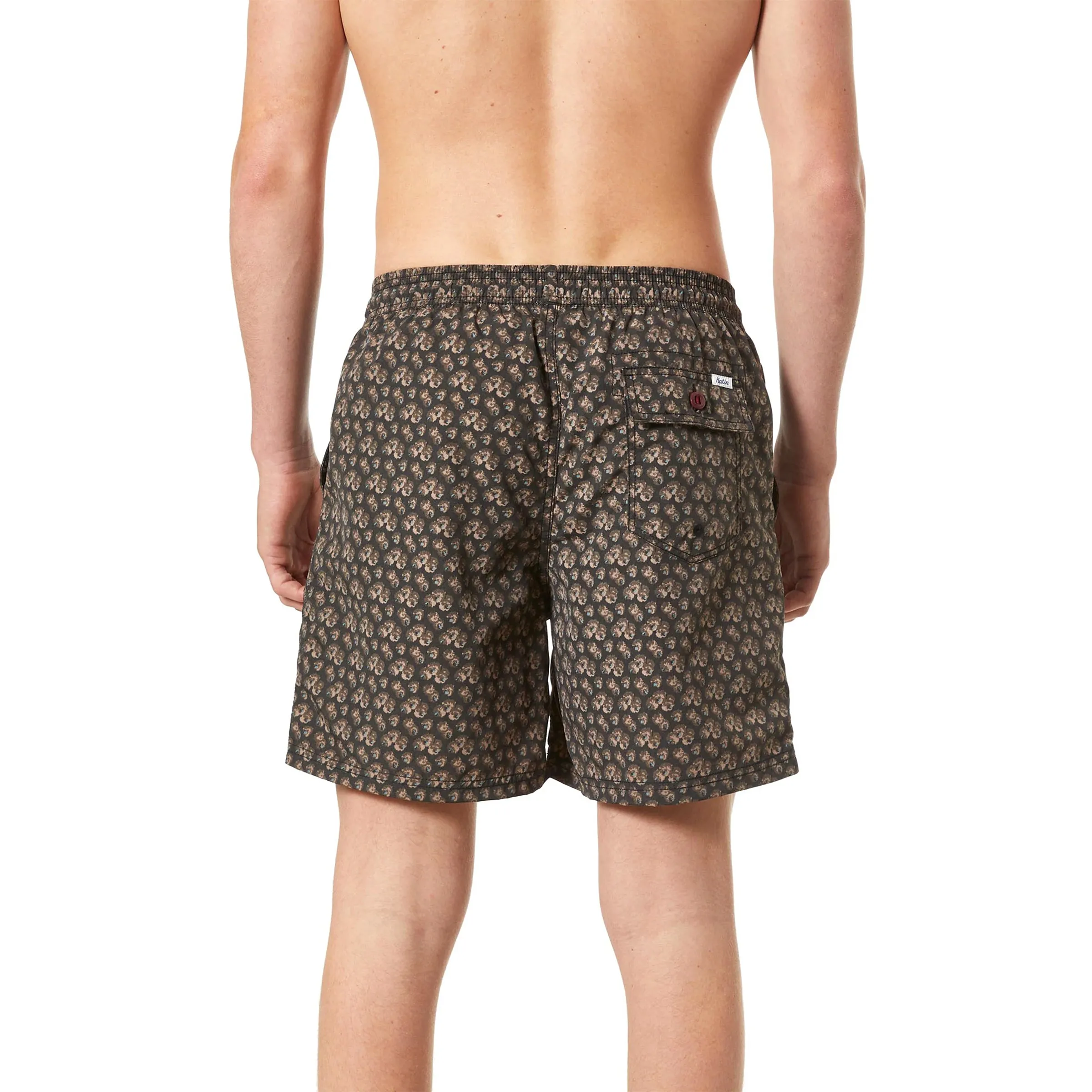 Aster Volley Trunk