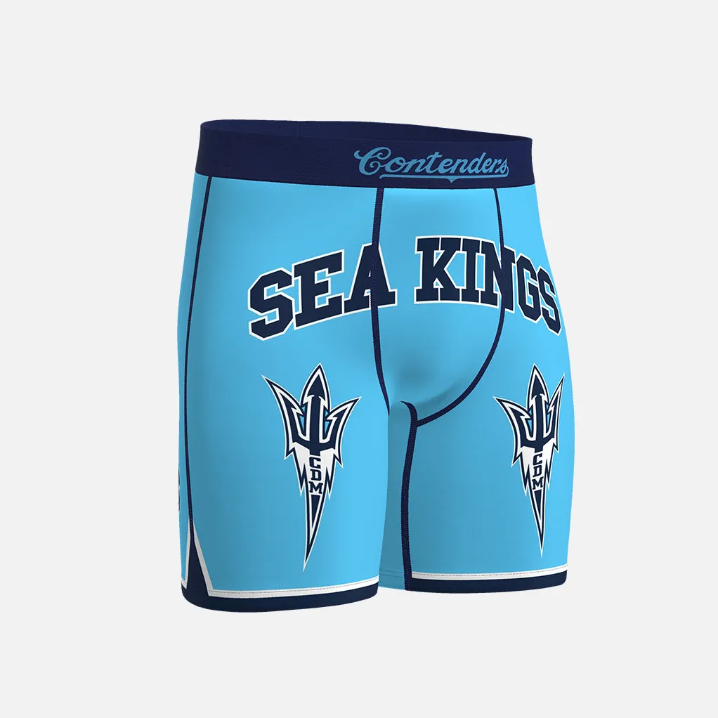 CDM Briefs