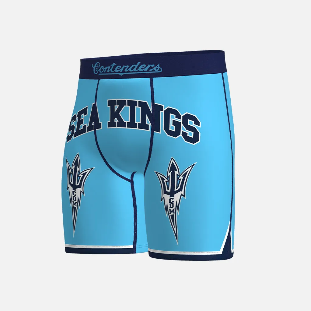 CDM Briefs