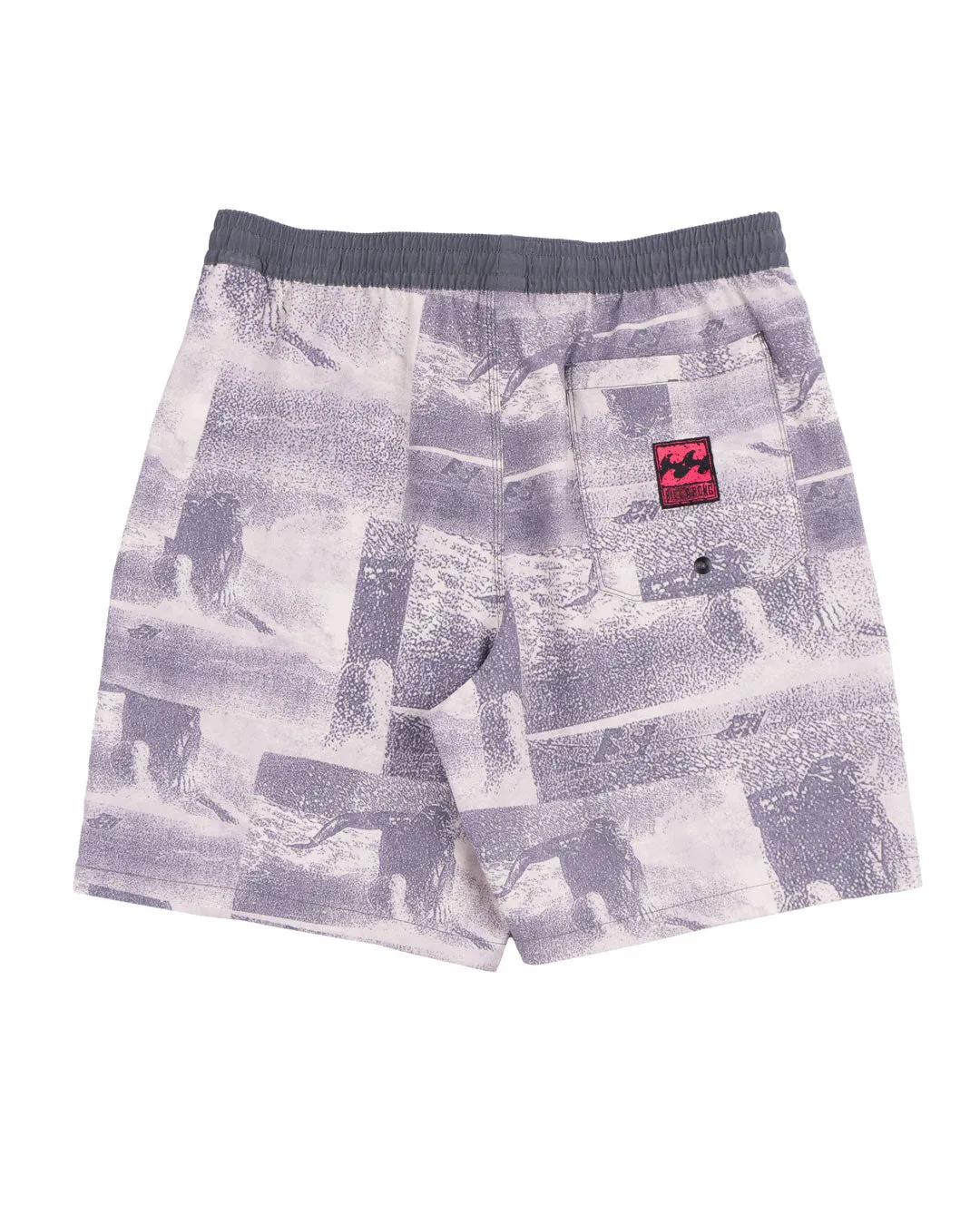 Riot Layback 18.5" Boardshorts